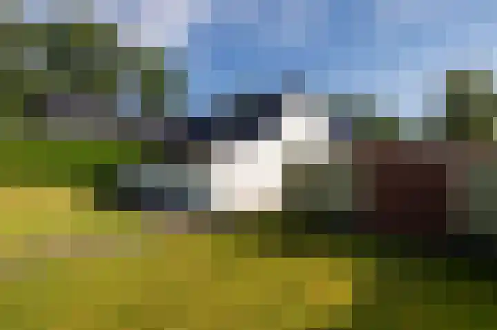 Esweg 40 Zuidlaren thumbnail 40