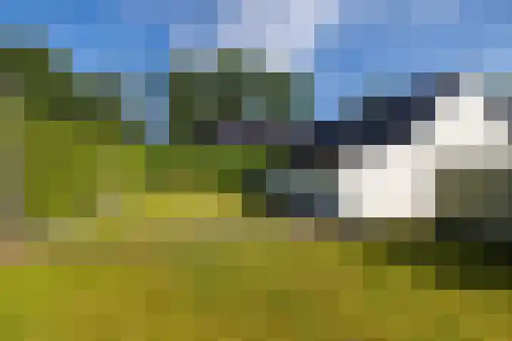 Esweg 40 Zuidlaren thumbnail 41