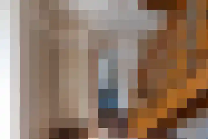 Esweg 40 Zuidlaren thumbnail 8