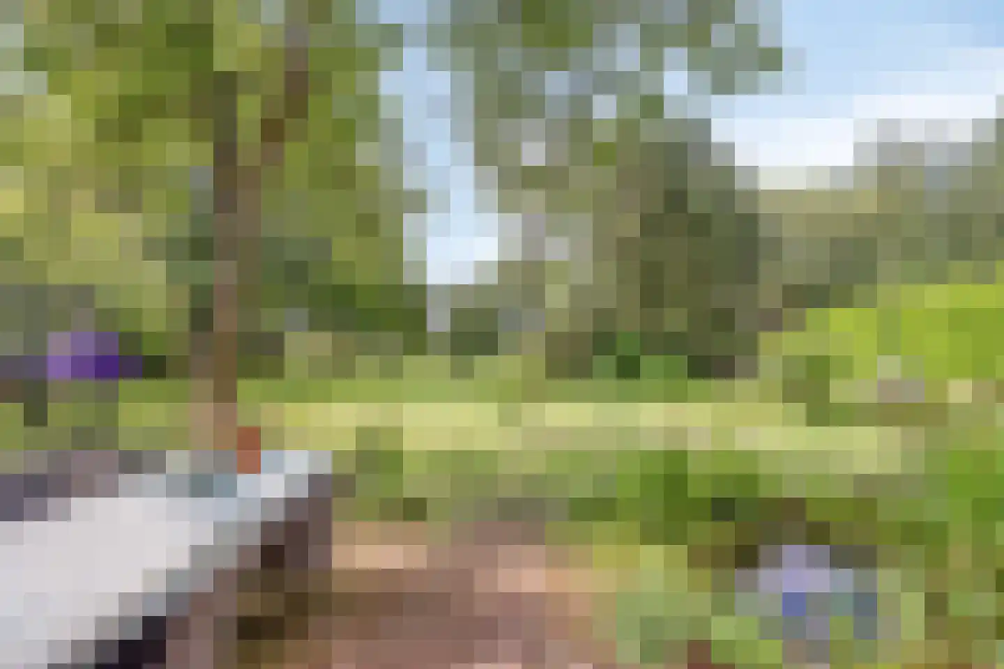 Esweg 55 Eelde foto 2