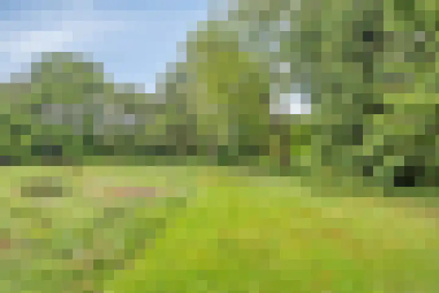 Esweg 55 Eelde thumbnail 51