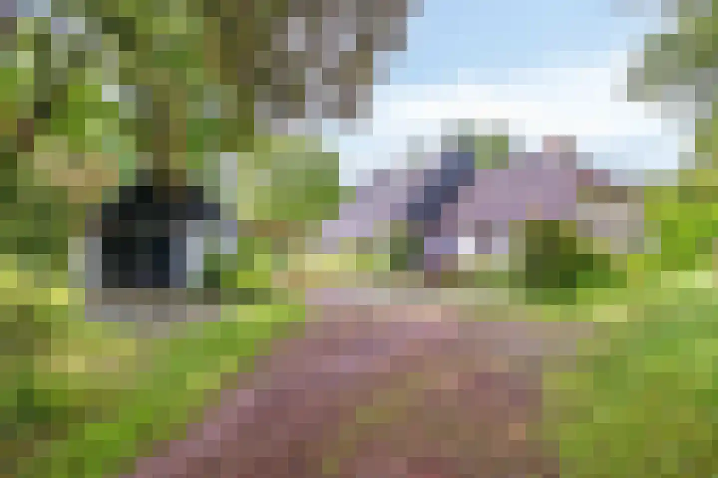 Esweg 55 Eelde thumbnail 56