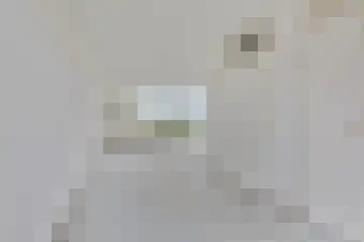 Esweg 8 Gieten thumbnail 11
