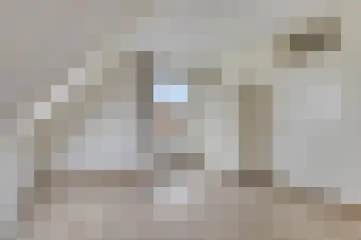 Esweg 8 Gieten thumbnail 18