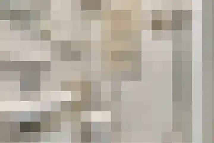 Esweg 8 Gieten thumbnail 20