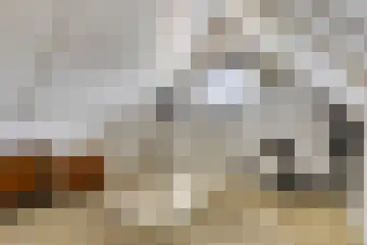 Esweg 8 Gieten thumbnail 26