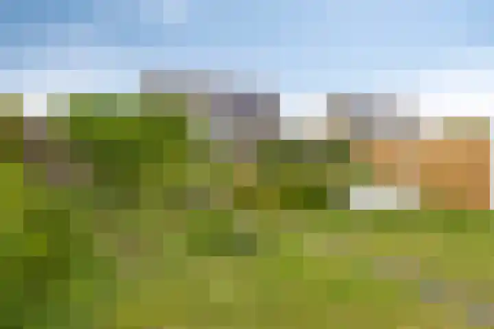 Esweg 8 Gieten thumbnail 29