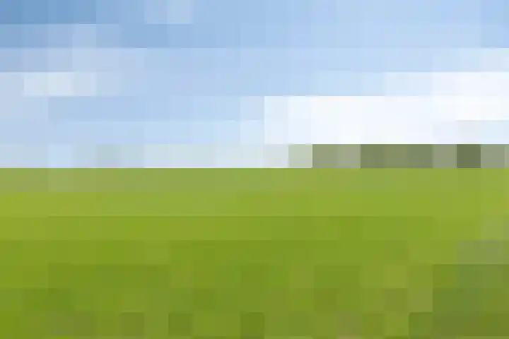 Esweg 8 Gieten thumbnail 4