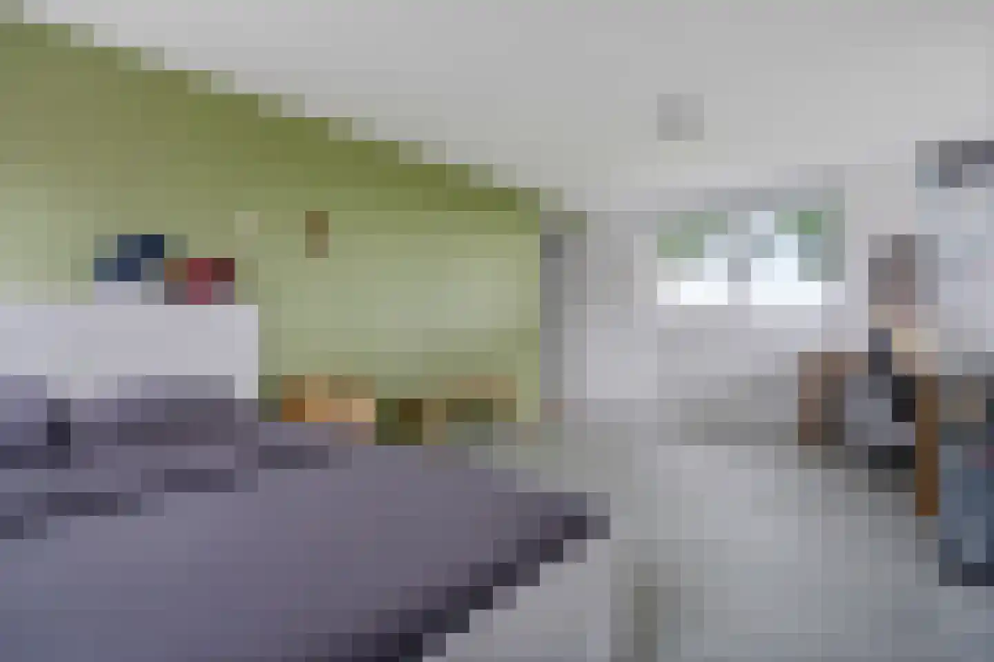 Esweg 9 Dwingeloo thumbnail 18