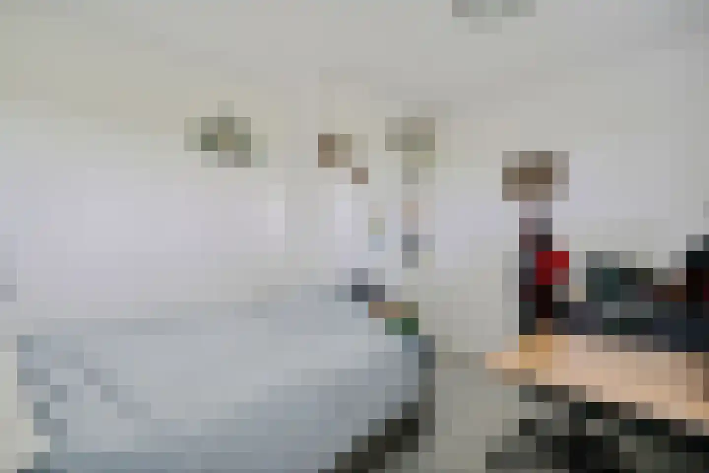 Esweg 9 Dwingeloo thumbnail 19