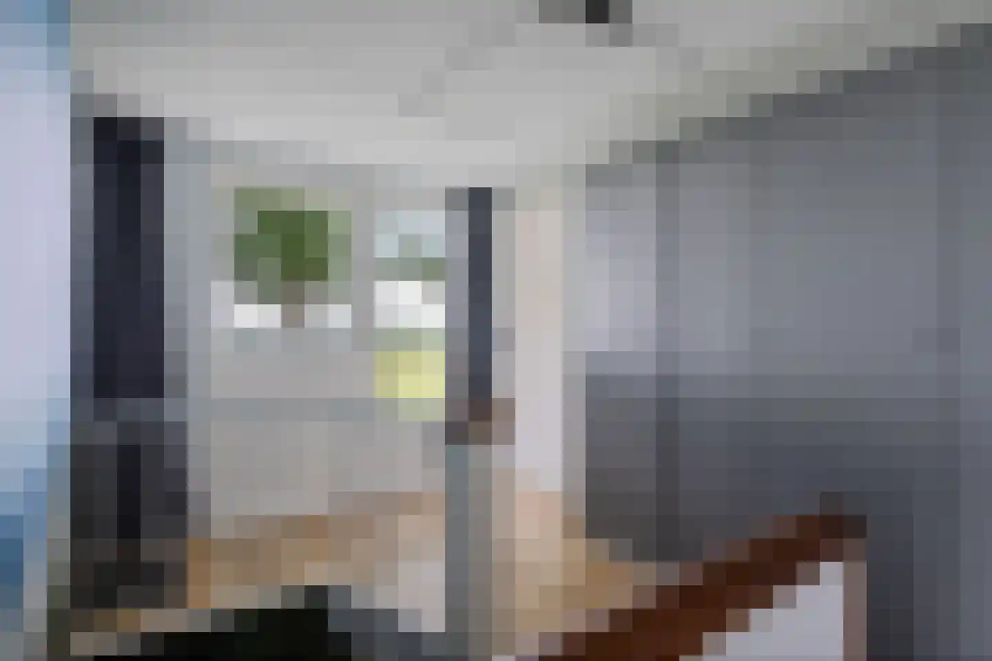 Esweg 9 Dwingeloo thumbnail 26