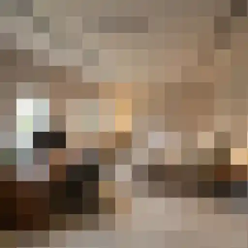 Esweg 9 Dwingeloo thumbnail 28