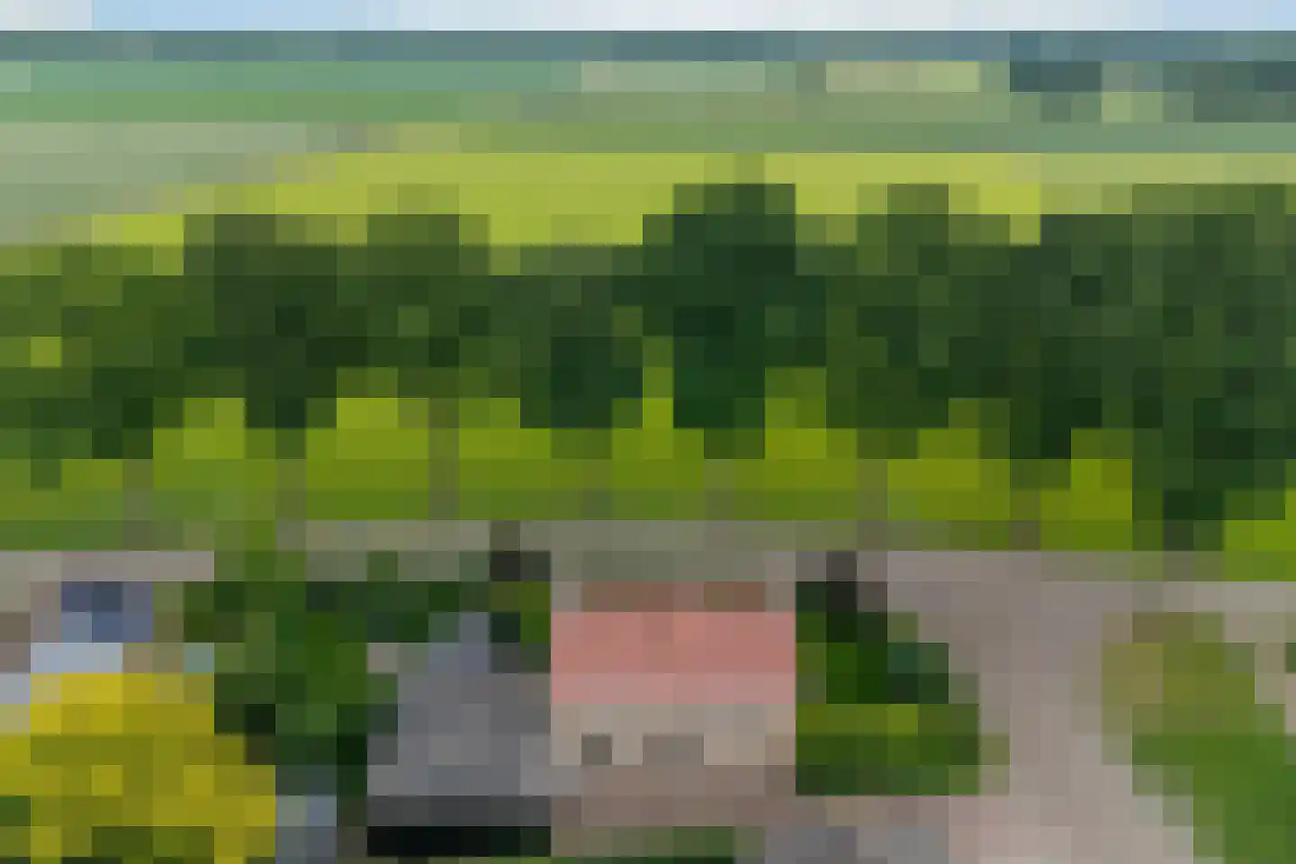 Esweg 9 Dwingeloo thumbnail 30
