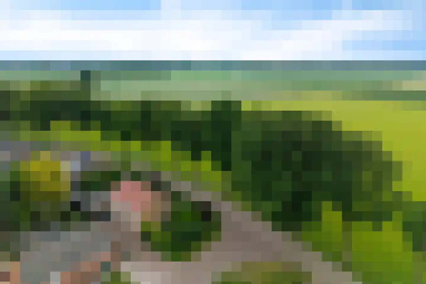 Esweg 9 Dwingeloo thumbnail 31