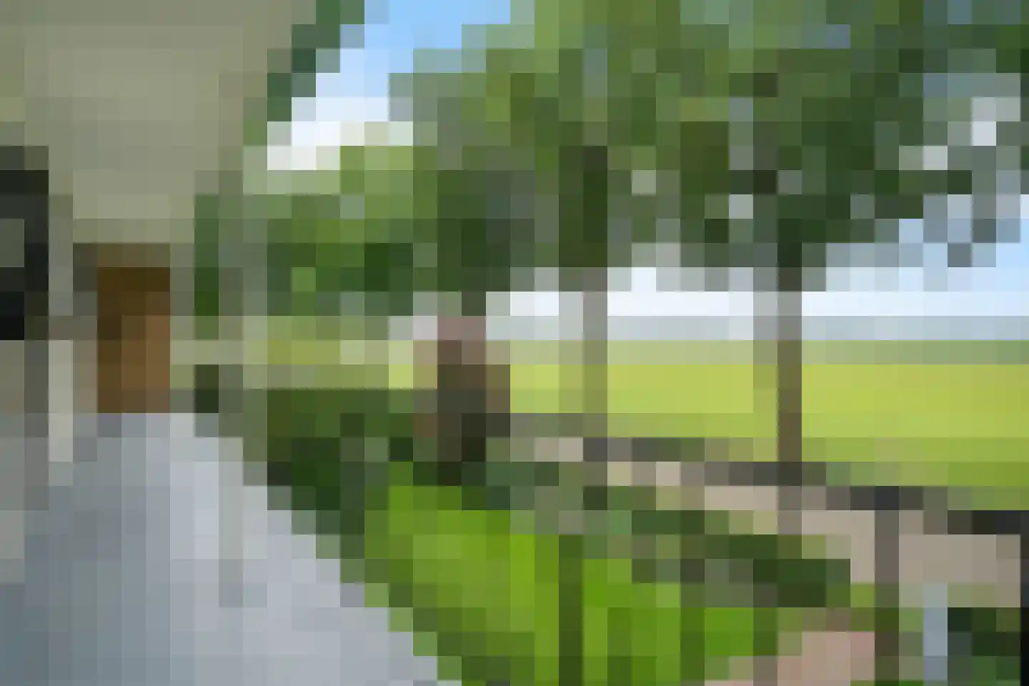 Esweg 9 Dwingeloo thumbnail 32