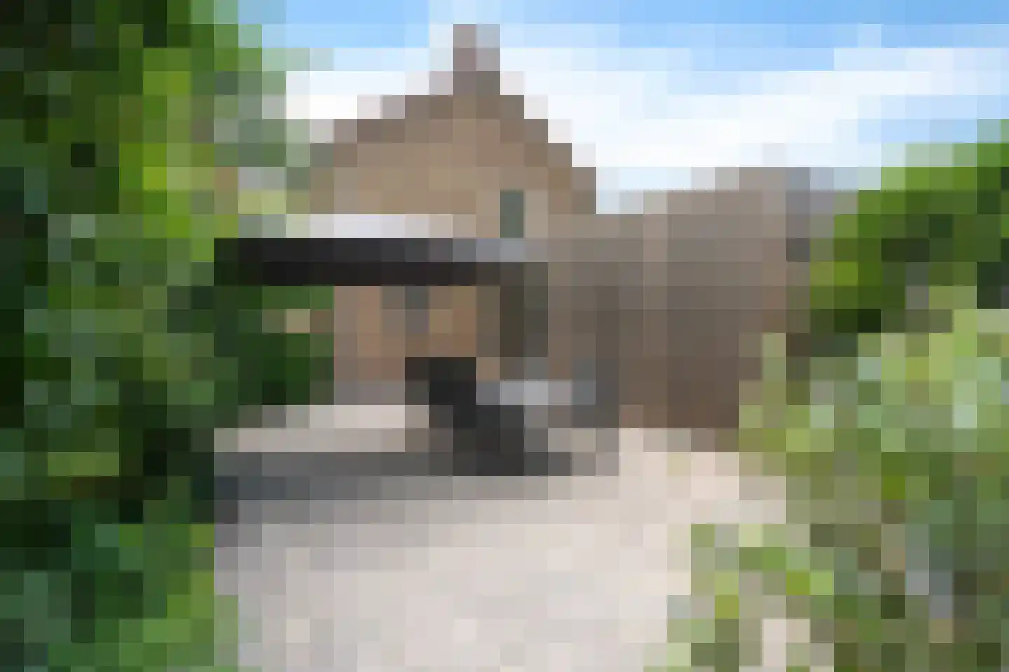 Esweg 9 Dwingeloo thumbnail 33
