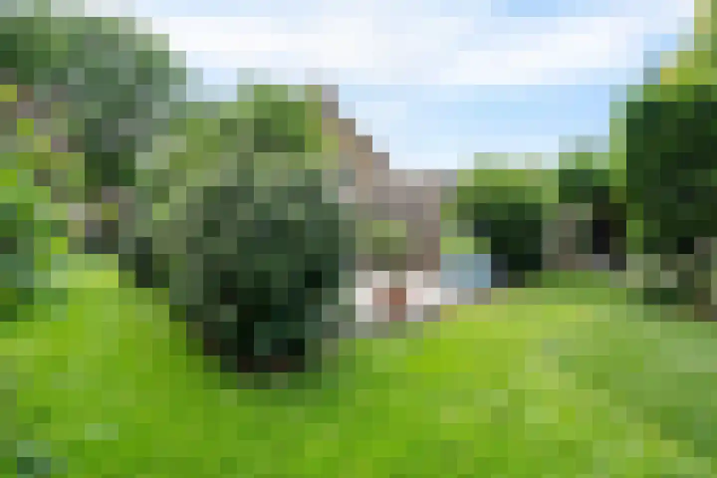Esweg 9 Dwingeloo thumbnail 37