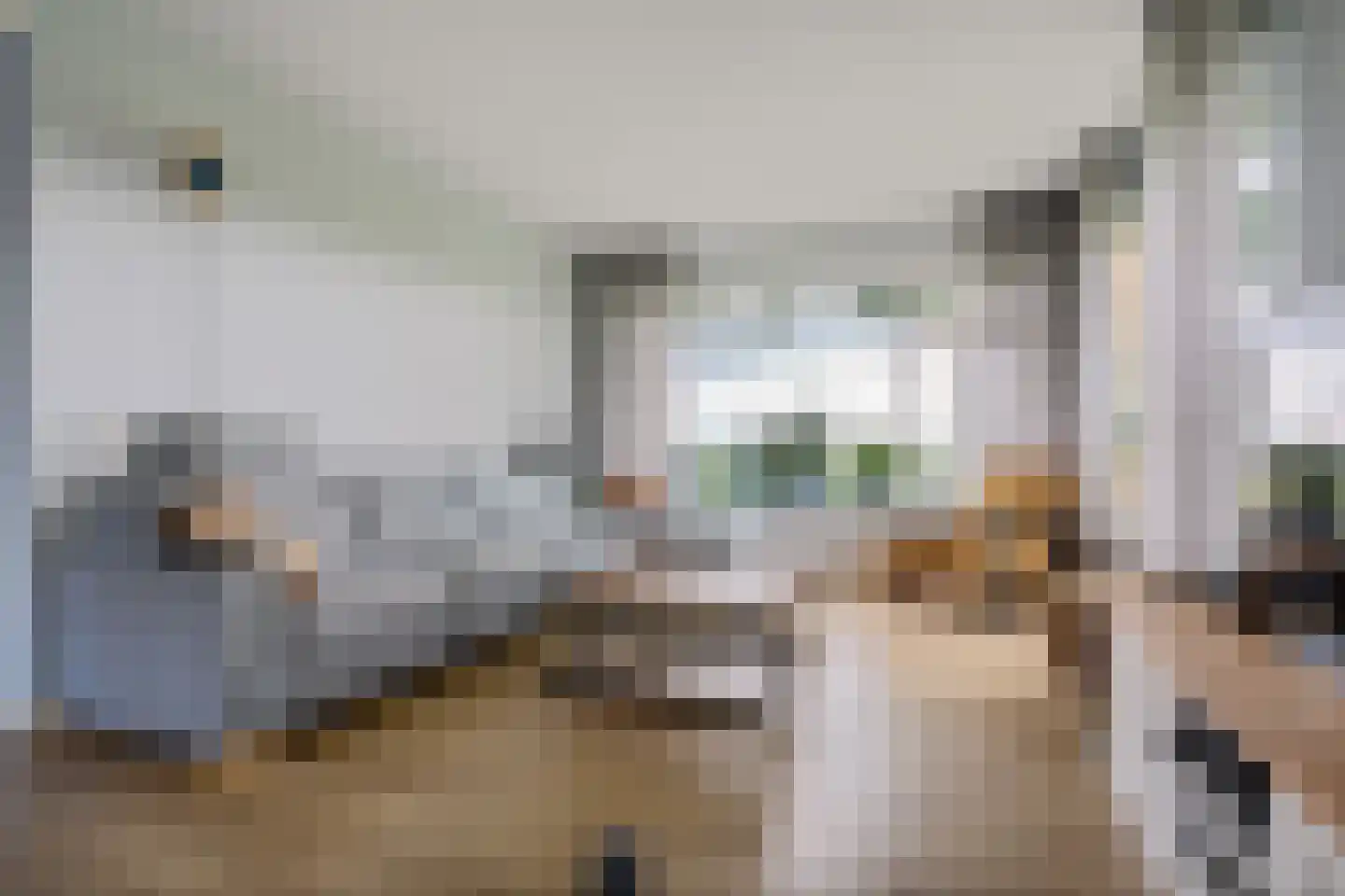 Esweg 9 Dwingeloo thumbnail 6