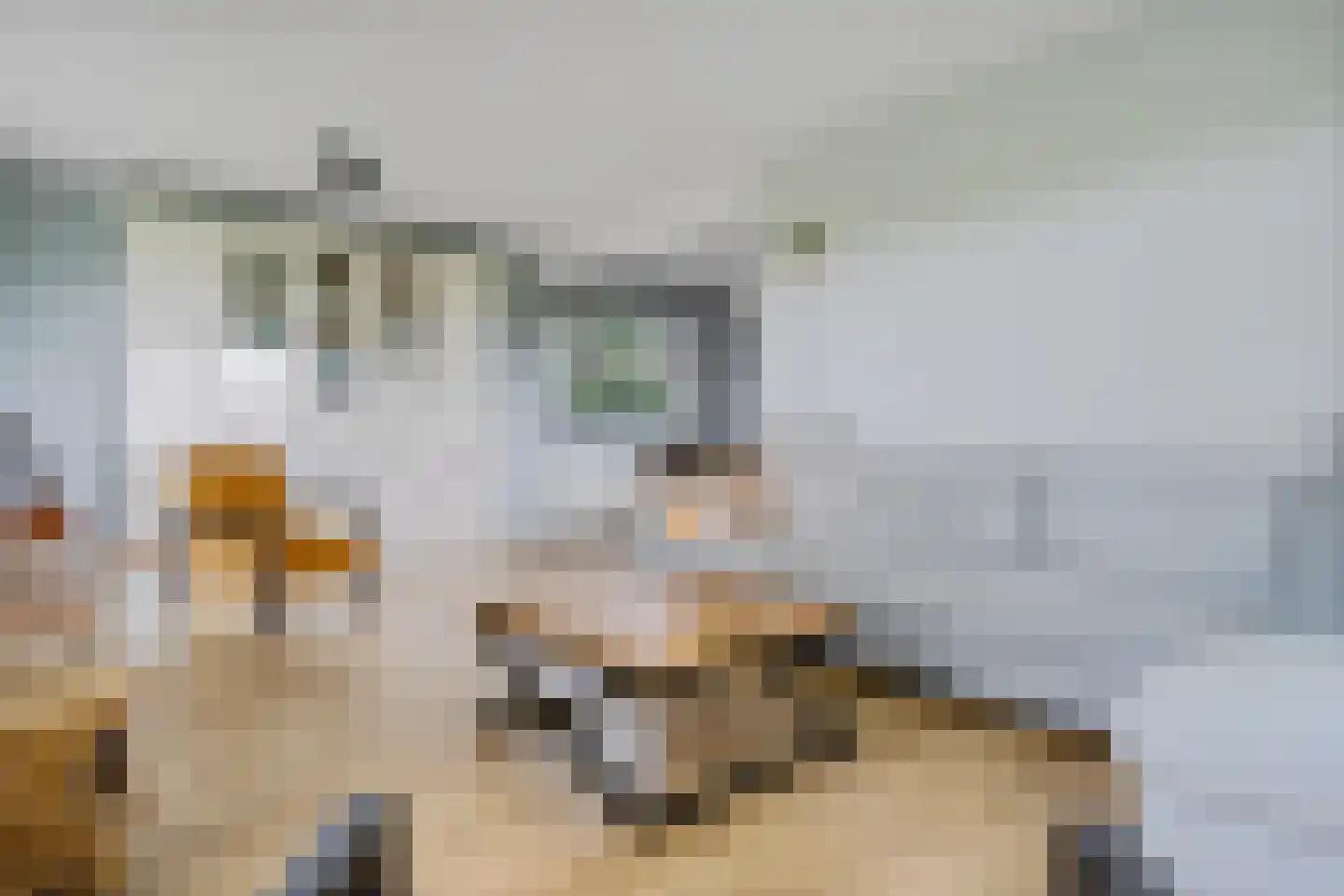 Esweg 9 Dwingeloo thumbnail 7