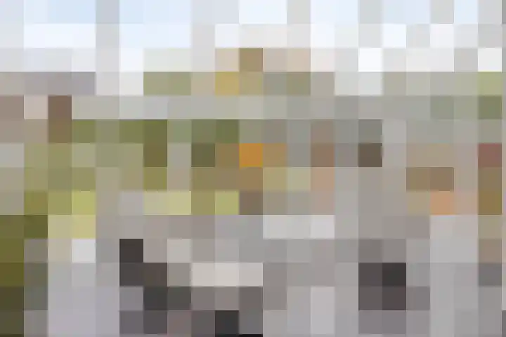 Eteringen 1 Westdorpe thumbnail 12