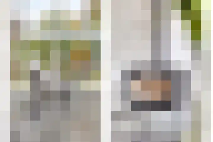 Eteringen 1 Westdorpe thumbnail 13