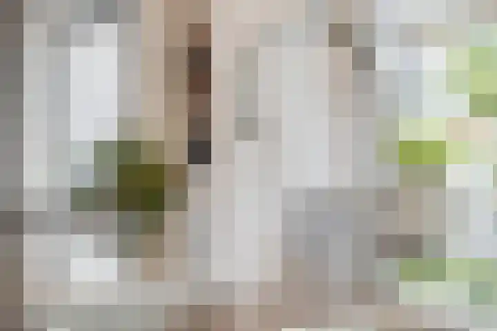 Eteringen 1 Westdorpe thumbnail 15