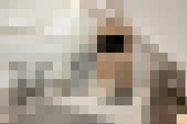 Eteringen 1 Westdorpe thumbnail 22