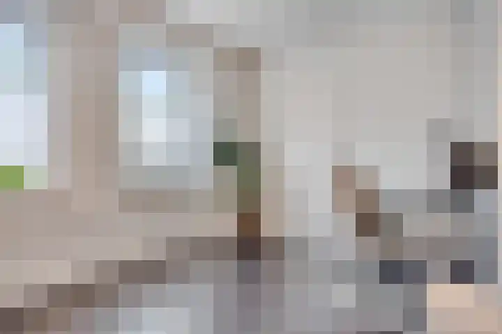Eteringen 1 Westdorpe thumbnail 24