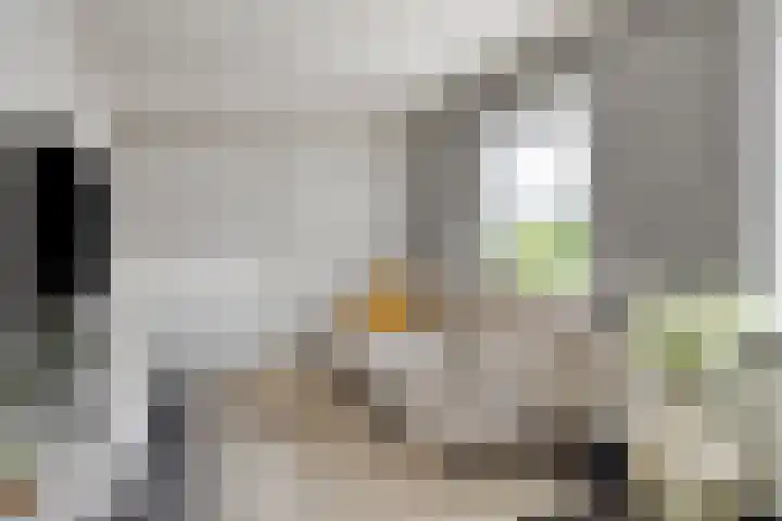 Eteringen 1 Westdorpe thumbnail 32