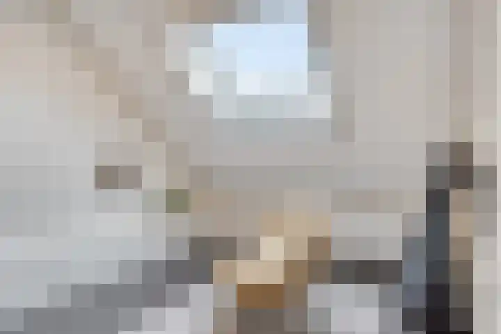 Eteringen 1 Westdorpe thumbnail 34
