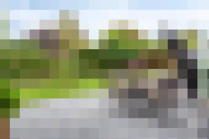 Eteringen 1 Westdorpe thumbnail 35