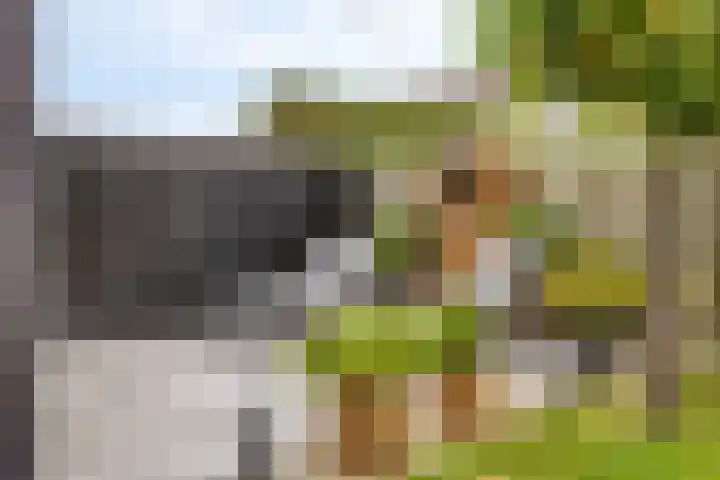 Eteringen 1 Westdorpe thumbnail 36