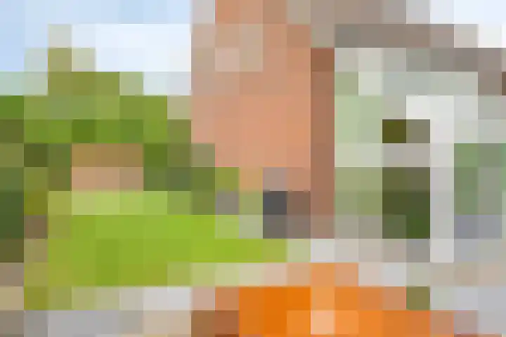 Eteringen 1 Westdorpe thumbnail 39