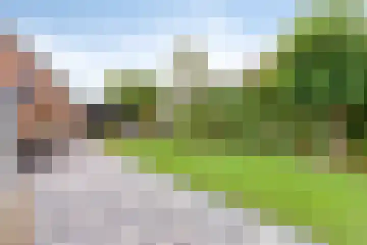 Eteringen 1 Westdorpe thumbnail 40