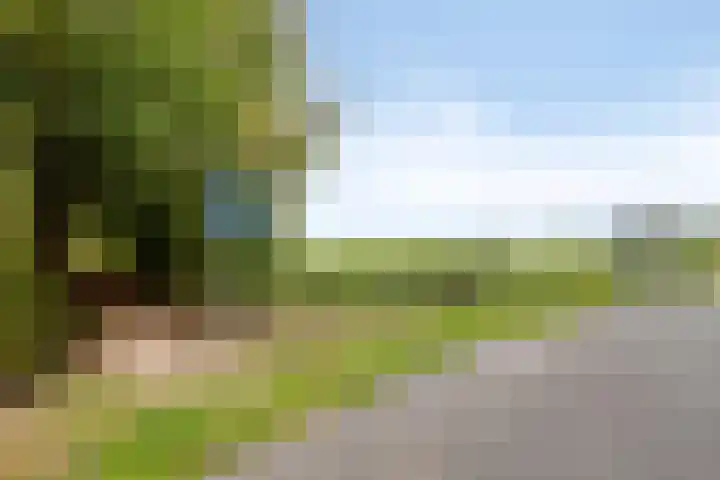 Eteringen 1 Westdorpe thumbnail 43