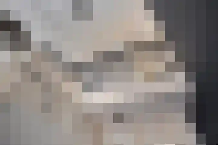 Eteringen 5 Westdorpe thumbnail 14