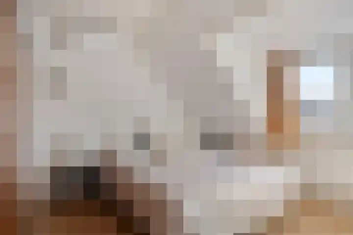 Eteringen 5 Westdorpe thumbnail 20