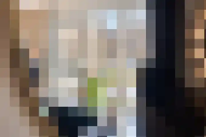 Eteringen 5 Westdorpe thumbnail 8
