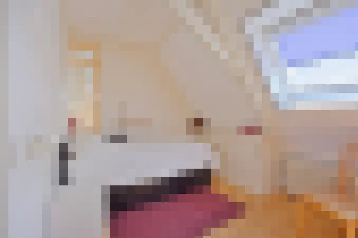 Etersheim 10 Oosthuizen thumbnail 23