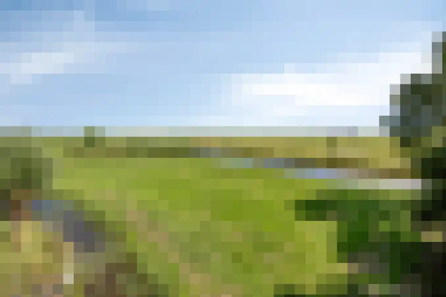 Etersheim 10 Oosthuizen thumbnail 41