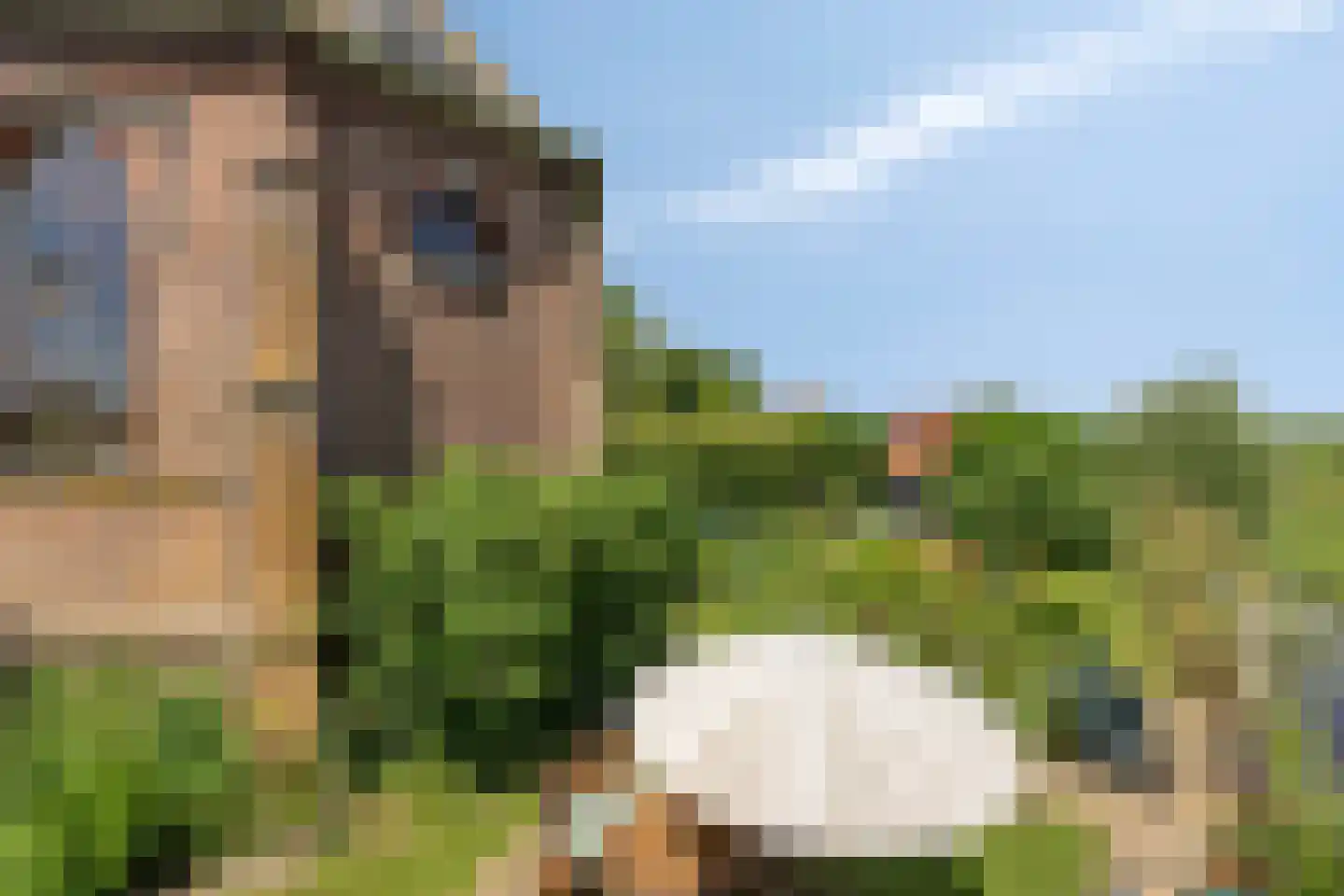 Etersheim 10 Oosthuizen thumbnail 42