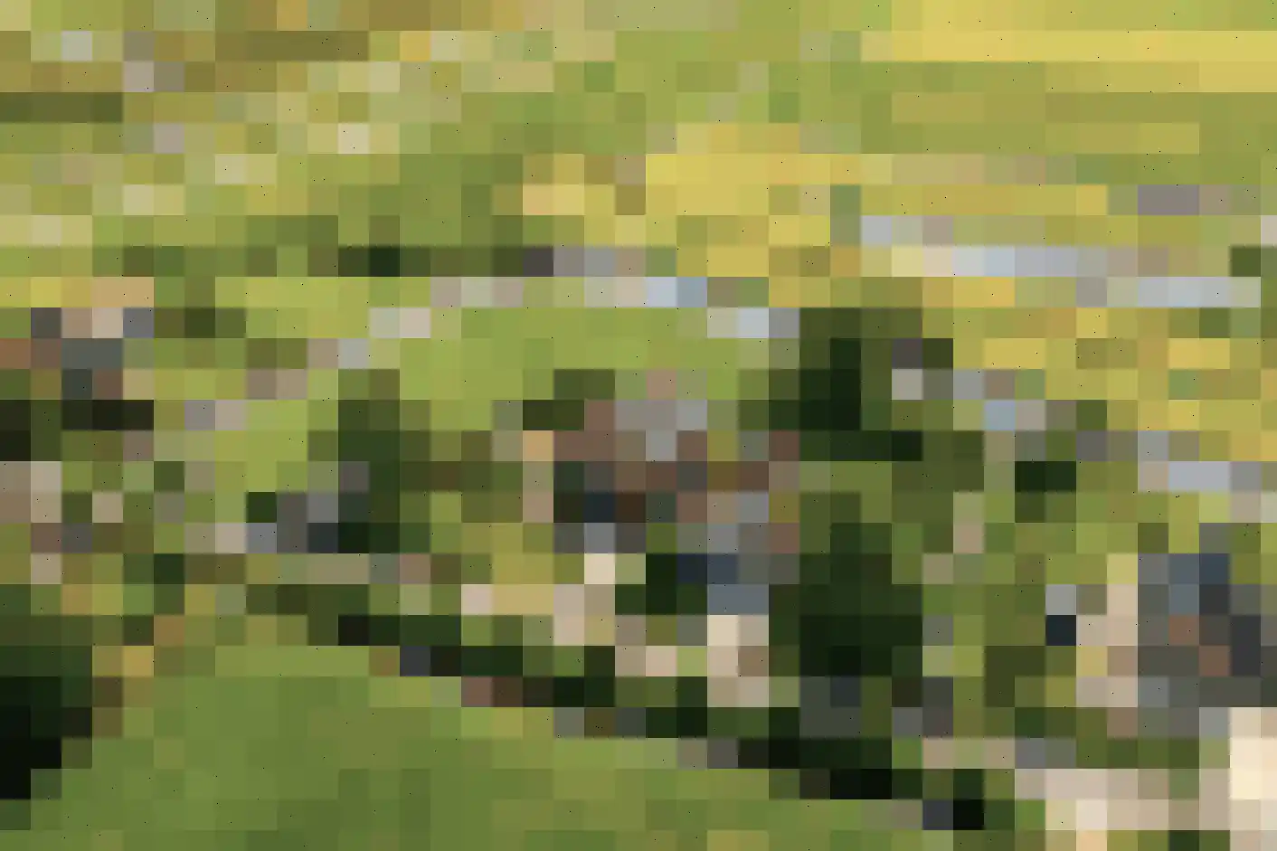 Etersheim 10 Oosthuizen thumbnail 46