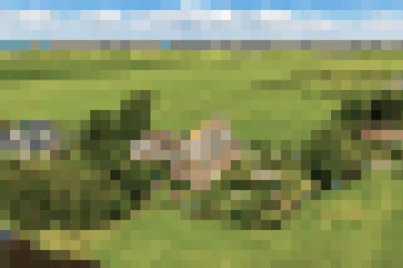Etersheim 10 Oosthuizen thumbnail 47