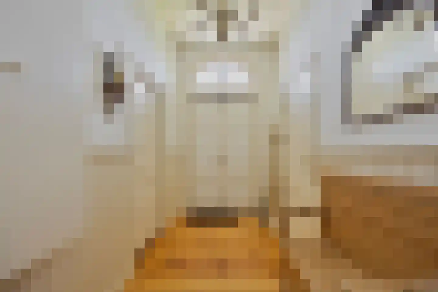 Etersheim 10 Oosthuizen thumbnail 6