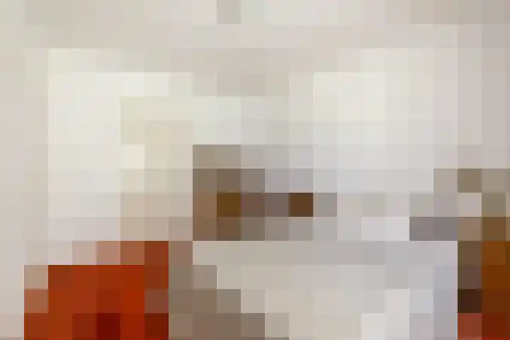 Etersheim 11 Oosthuizen thumbnail 24