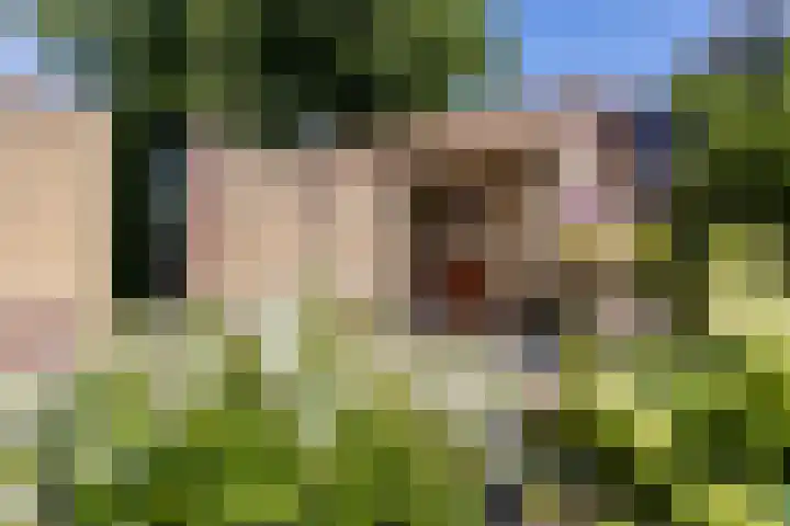 Etersheim 11 Oosthuizen thumbnail 35