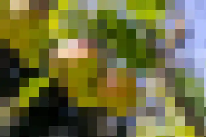 Etersheim 11 Oosthuizen thumbnail 36