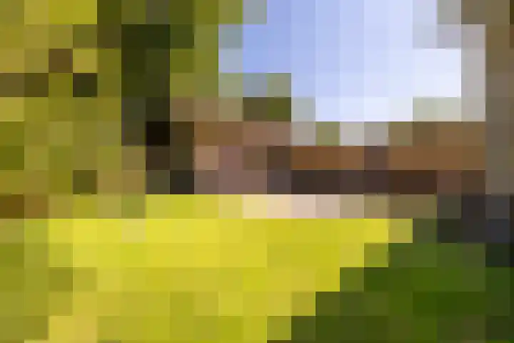Etersheim 11 Oosthuizen thumbnail 37