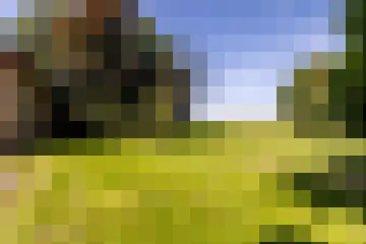 Etersheim 11 Oosthuizen thumbnail 38