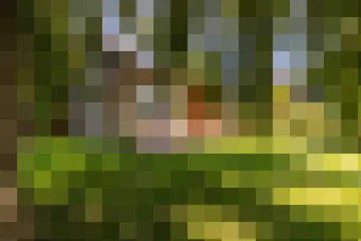 Etersheim 11 Oosthuizen thumbnail 4
